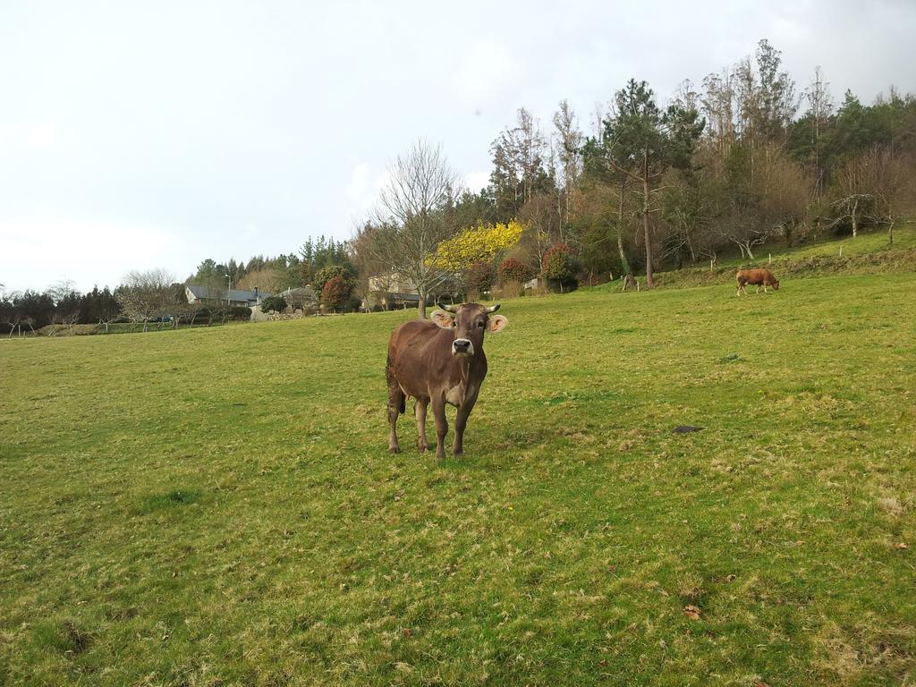 Casa Rural Grana Da Acea Monfero 外观 照片