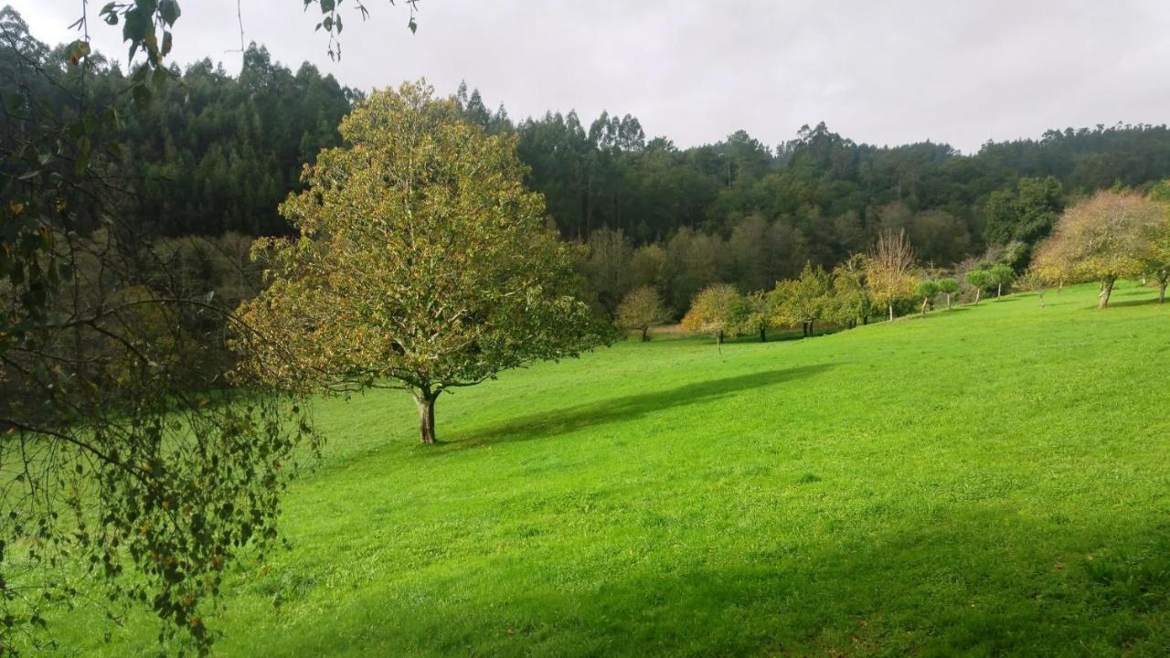 Casa Rural Grana Da Acea Monfero 外观 照片